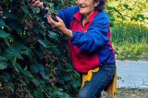 Porodica sa obronaka Kopaonika tradiciju pretvorila u mali biznis