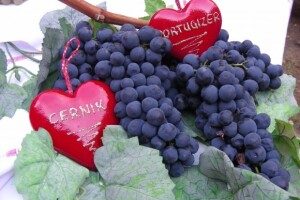 Udruga voćara i vinogradara Cernik