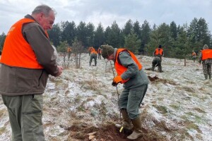 Akcija masovnog pošumljavanja "Zasadi za život" - Trnovo