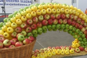 Dani jabuka Požega 2015
