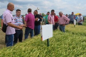 Dan polja pivarskog ječma