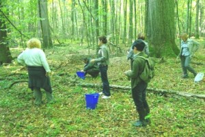 Slavonske prašume sa hrastovima gorostasima