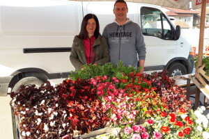 Vukovići uzgajaju cvijeće za svačiji ukus i džep