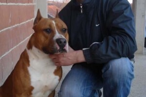 Malo prijedorsko životinjsko carstvo