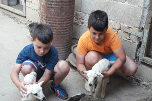 Četvorke i trojke obradovale vlasnike