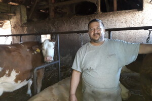 Od jedne do 550 litara mlijeka