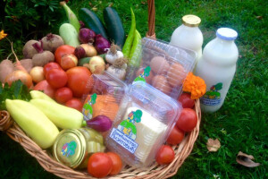 Domaćinstvo Mijatović