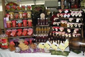 Zadruga Zdravčica u Sevojnu