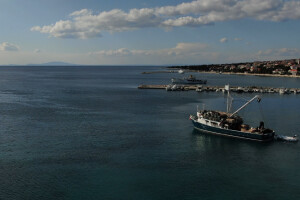 Proveli smo noć u ribolovu male plave ribe