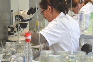 Srednja škola Matija Antun Reljković Slavonski Brod