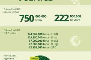 Infografika globalne proizvodnje pšenice