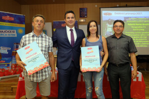 Berba rajčice u Istri