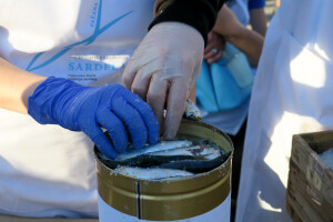 Stoljetna tradicija soljenja srdela