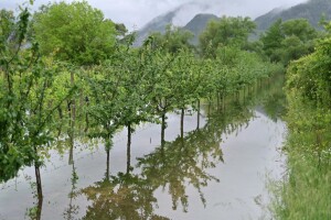 Vrgorsko polje je jezero, poljoprivredne kulture pod vodom diljem zemlje