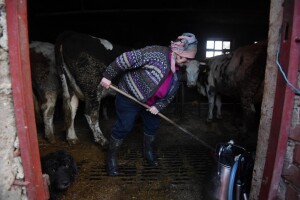 Potres na petrinjskom, glinskom i i sisačkom području