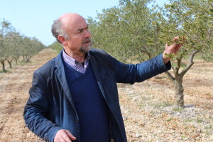 Rade Bobanović, Masvin