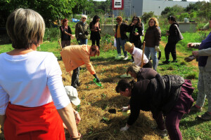Radionica održivog vrtlarstva - Društveni vrt Gregovica
