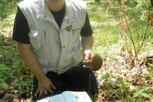 Sakupljanje gljiva u ćuprijskom kraju