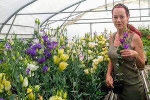 Lizijantusi zagorskog OPG-a Gotić osvajaju Hrvatsku