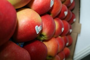 8. međunarodni Voćarski sajam u Donjem Kraljevcu