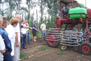 Uzgoj jabuka u Mađarskoj