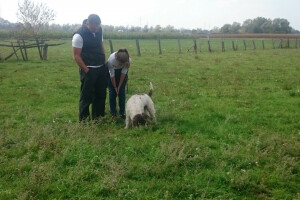 Festival gljiva i ljekovitog bilja