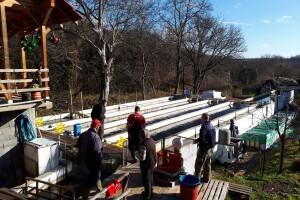 Ribnjak u vlasništvu petnaestočlane porodice