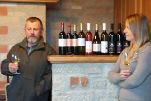 Muškat ruža porečka Vinarije Ritoša