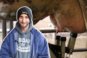 M²erlin muze krave kod Radića: "Zamijenio je četiri radnika"