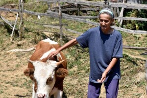 Stigla pomoć Vukici Milosavljević koju je grom ostavio bez krava