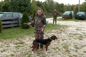 Ispitivanje urođenih osobina pasa glasnog gona na divlju svinju