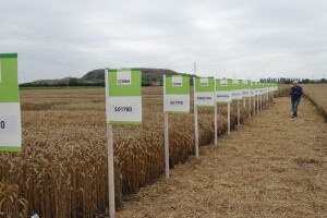 20 godina RWA Hrvatska!