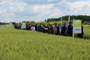 RWA dan polja pšenice Račinovci