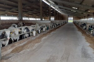 Poremećaj na tržištu zbog koronavirusa