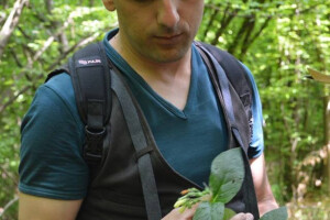 Popis bilja parka "Ravne 2" u dolini piramida