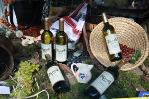 Sajam Slavin 2010, Orahovica