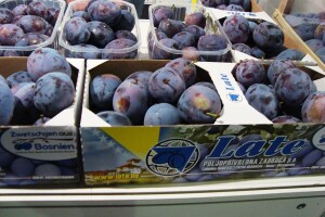 47. Sajam šljive u Gradačcu