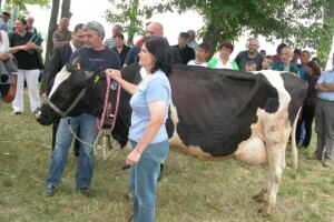 Državno zemljište novopečenim stočarima