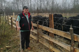 Savo Ugren uzgajivač angusa: Dobra isplativost, tržište neograničeno