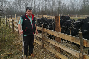 Savo Ugren uzgajivač angusa: Dobra isplativost, tržište neograničeno