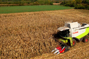 Dani polja hibrida kukuruza Bc Instituta d.d. Zagreb