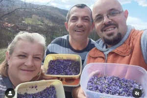 Slatko od ljubičica, kako se pravi?