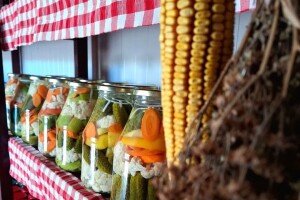 Anina domaća zimnica