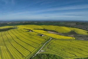 Usjevi kompanija "Agro invest grupe BiH"