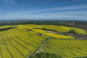 Usjevi kompanija "Agro invest grupe BiH"