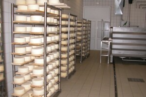 Tvrtka Puđa ostvaruje razvojni proogram - otvorila novu siranu na otoku Pagu