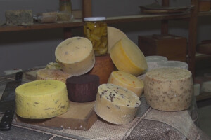 Sirevi koji nemaju rok trajanja