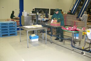 "Sirogojno company" otvorila prvu internu laboratoriju u Srbiji