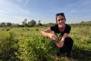 Bobičasto voće s OPG-a Kraljić