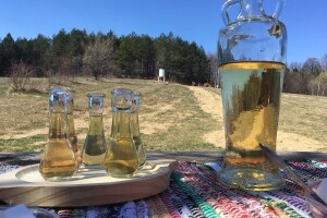 Sokolske kolibe: Genetički centar